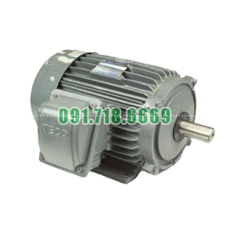 Bán Động cơ điện mô tơ TECO AESV1S-0.75(TECO0.75) 3 pha