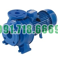 Bán Máy bơm chữa cháy Ebara 3D 40-160/4.0