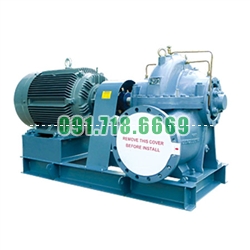 Bán Máy bơm trục ngang ly tâm 2 cửa hút Ebara 300×200 CNGA 5 75